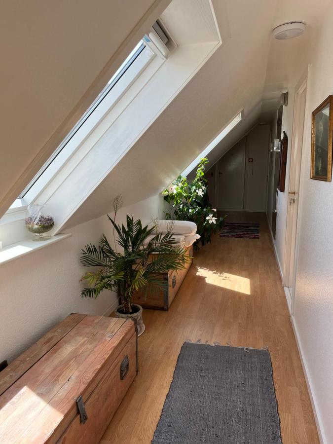 Munkebo B&B, Thy ティステズ エクステリア 写真